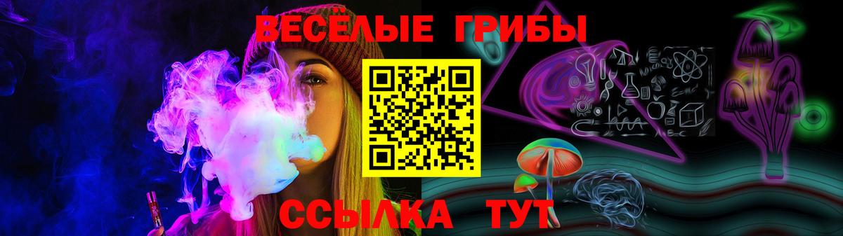 Волжский  Галлюциногенные грибы Cubensis  купить   Вход с VPN 